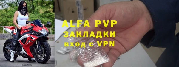 прущие грибы Пестово