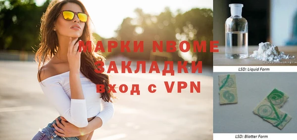 прущие грибы Пестово