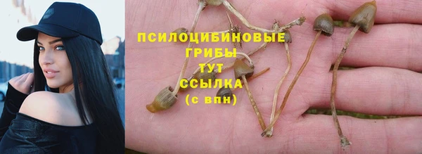 стаф Алексеевка