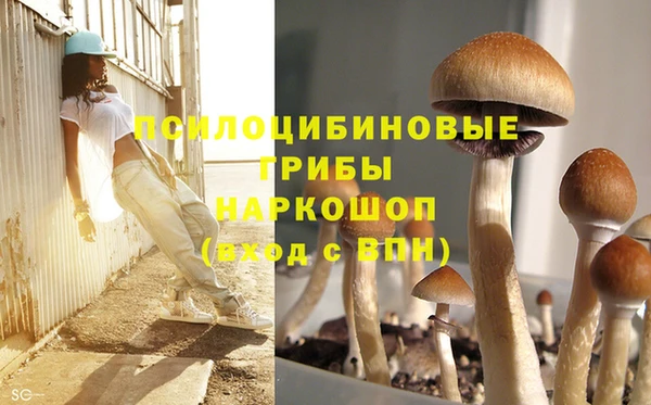2c-b Алексин