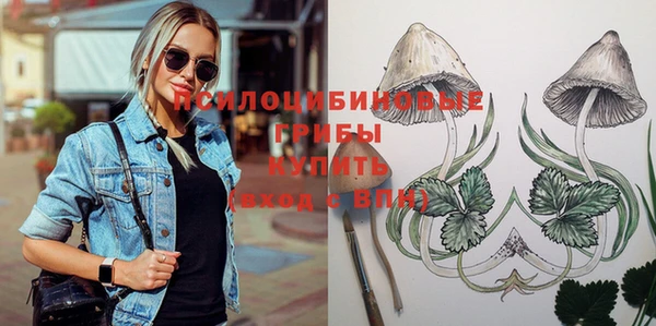 ГАЛЛЮЦИНОГЕННЫЕ ГРИБЫ Алзамай
