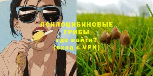 прущие грибы Пестово